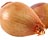 Shallot